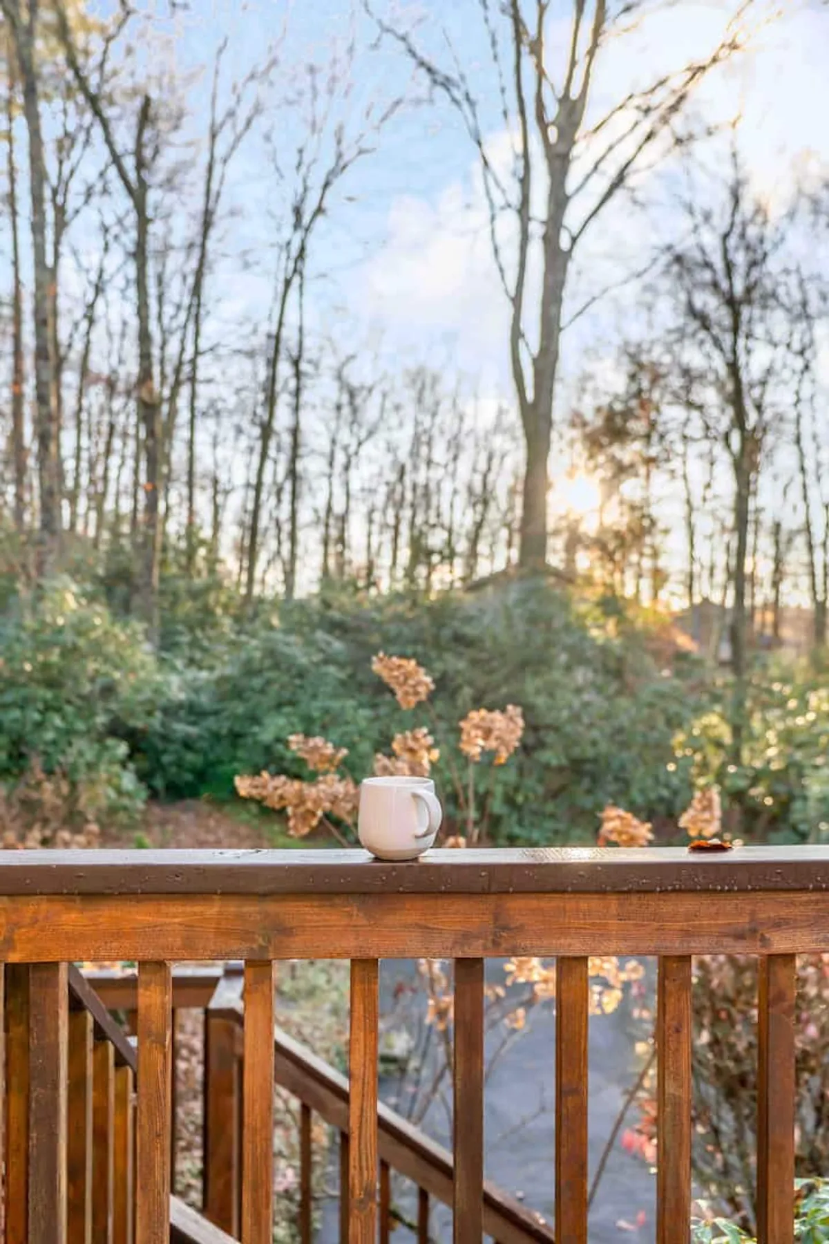 A white mug sits on the wooden railing of a porch, with sunlight streaming through the trees and dried flowers in the foreground. The composition evokes peaceful mornings and a direct experience of nature, perfect for meditative moments or leisurely coffee breaks.
